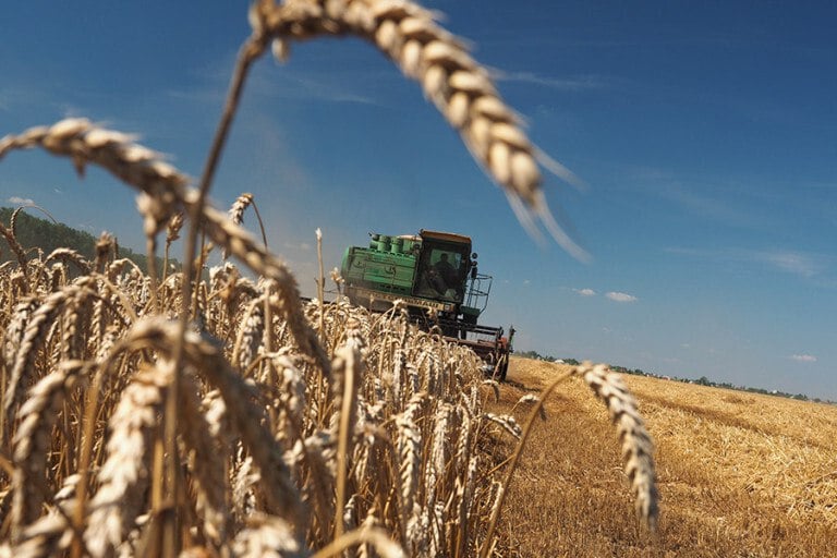 Новосибирские аграрии получили господдержку в размере ₽2 млрд  Министерство сельского хозяйства Новосибирской области направило крестьянам региона 2,07 млрд руб.