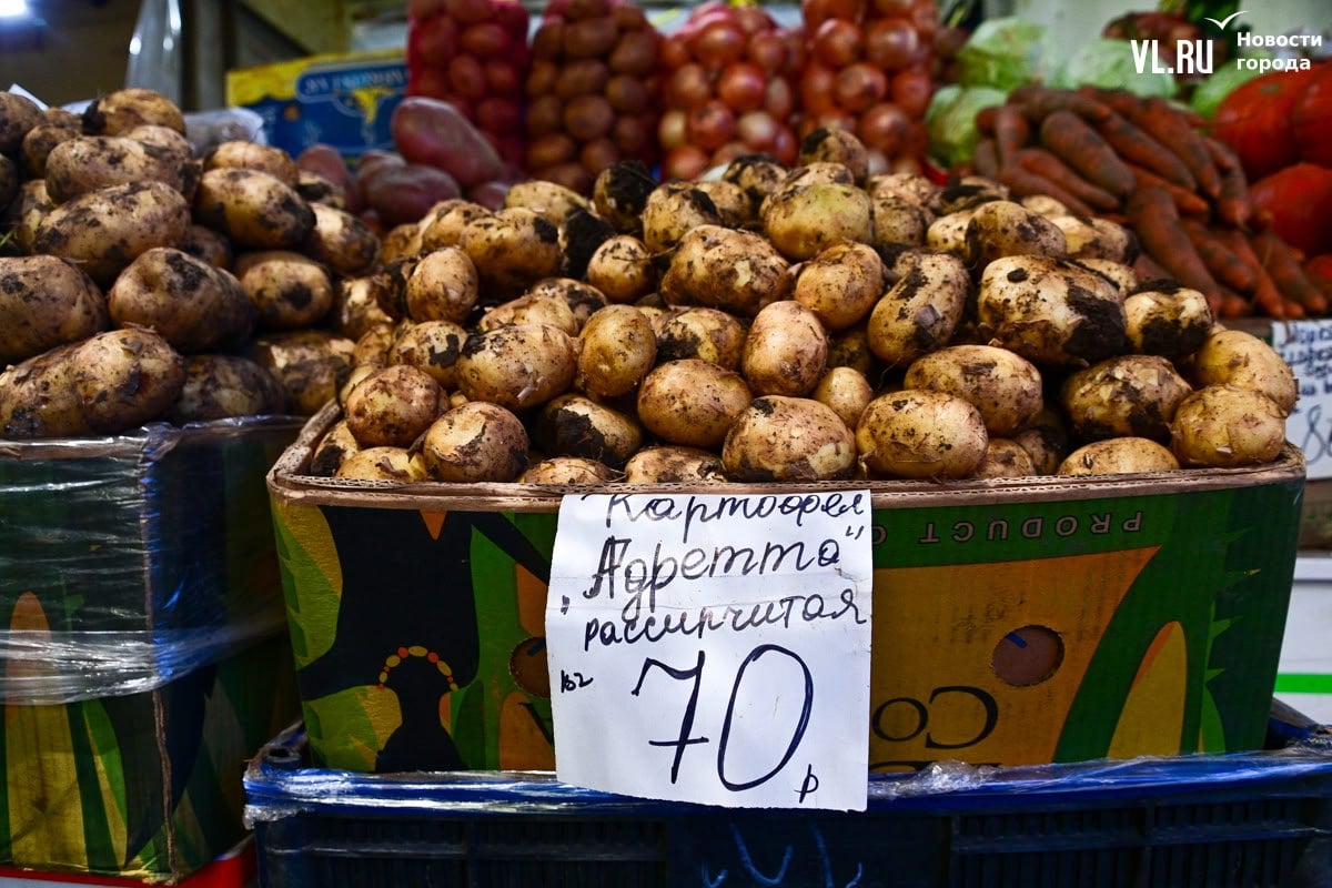 На рынках Владивостока продают первый картофель. Цены варьируются от 60 до 100 рублей за килограмм. На прилавки выставлен в основном сорт адретта – он считается среднеранним. «Старый» картофель уже не предлагают – его у фермеров почти не осталось, да и конкуренции с «молодёжью» всё-таки не выдерживает.