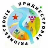 Аватар Телеграм канала: Приднестровец