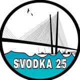 Аватар Телеграм канала: Svodka25