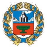 Аватар Телеграм канала: Правительство Алтайского края