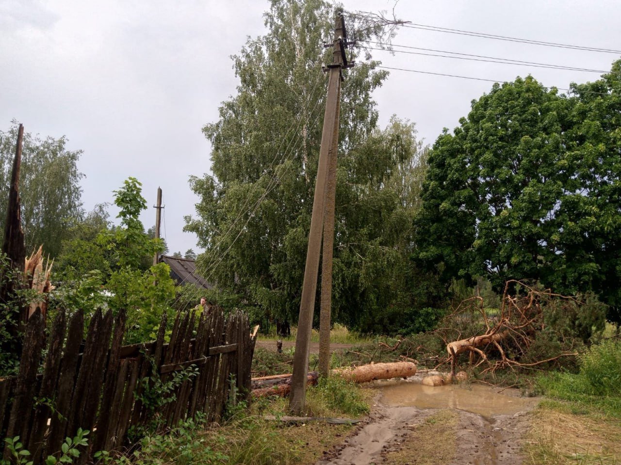 Сильный ураган уже достиг рабочего поселка Сатис в Нижегородской области. Там повалены деревья, оборваны линии электропередач, на месте происшествия работают аварийные бригады.  По словам главы Первомайска Елены Лебедновой, пострадавших, к счастью, нет.