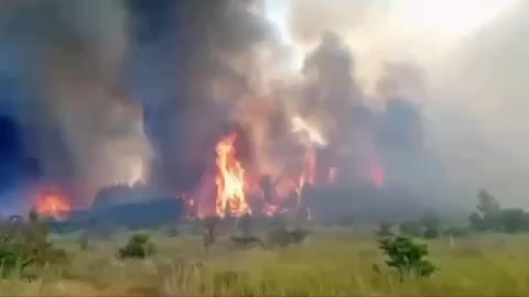 Лесной пожар в измирском районе Борнова и пожар в Ленинском районе Мурманска
