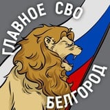 Аватар Телеграм канала: Главное / СВО / Белгород и область
