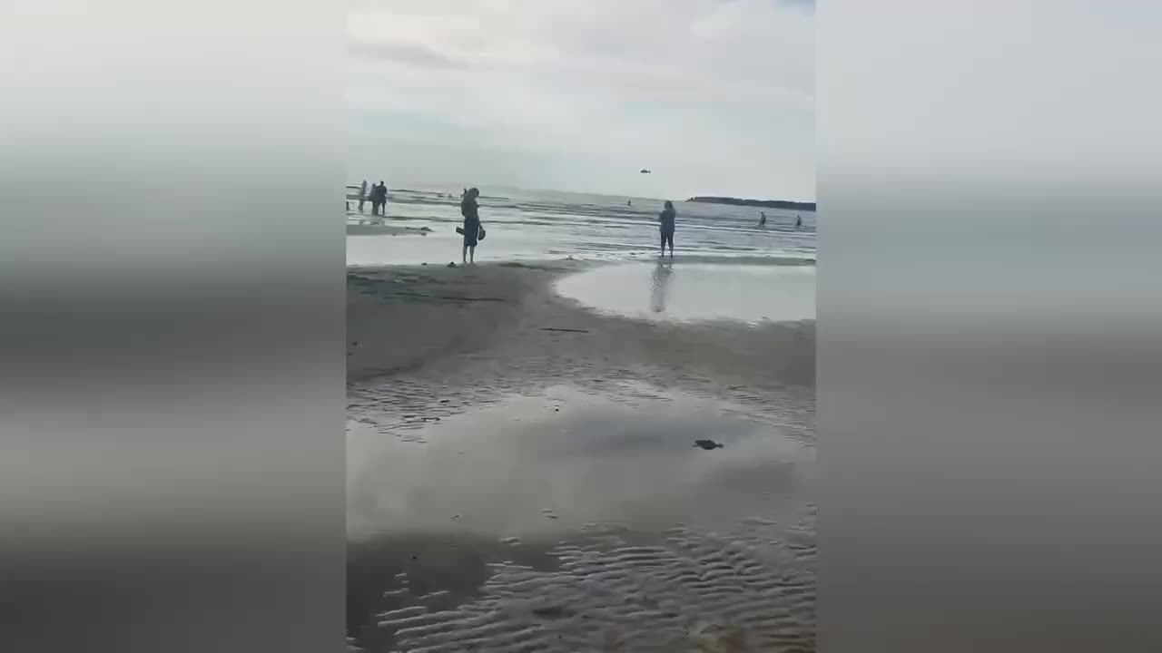 Военный вертолет напугал отдыхающих на пляже в Сосновом Бору