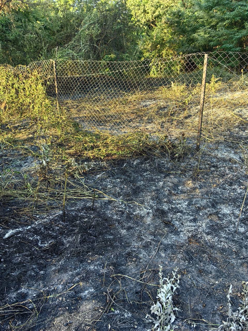 В Краснодаре на Гидрострое произошел пожар на пустыре.   В микрорайоне Гидростроителей около Киргизских плавней загорелся мусор, огнем было охвачено 400 квадратных метров. Пожар тушили 16 человек.