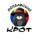Аватар Телеграм канала: Молдавский Крот