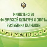 Аватар Телеграм канала: Министерство физической культуры и спорта РК