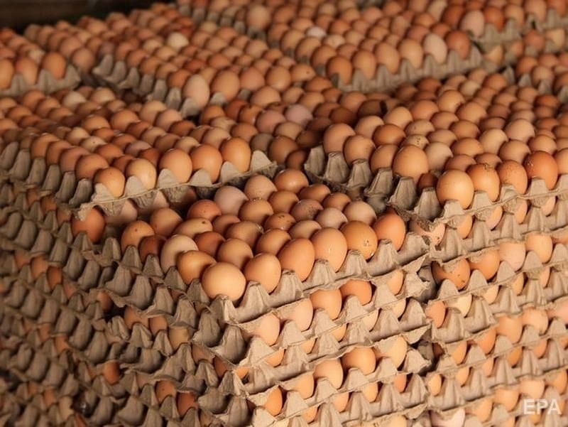 В Башкирии восстанавливается массовое производство яиц.   Как сообщили в министерстве сельского хозяйства региона, из-за вспышки птичьего гриппа на птицефабрике «Башкирская» прошлым летом производство яиц в республике сократилось на 26%. В текущем году после реконструкции предприятие возобновило работу.   Массовое производство яйца ожидается в августе, и к концу года планируется произвести до 100 млн штук. Выход на проектные мощности предприятия ожидается в конце 2025-го года.      Спутник FM – Уфимская Волна