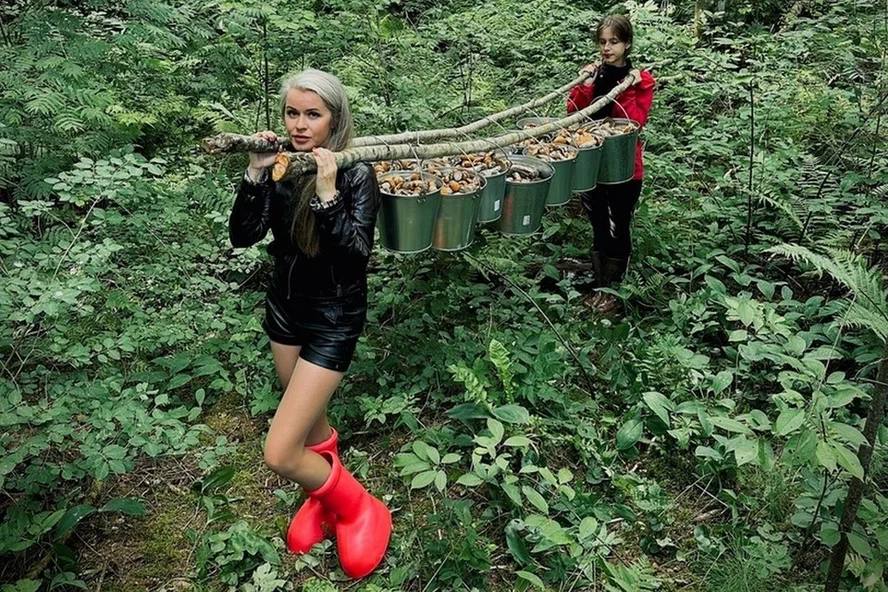 13 вёдер подосиновиков собрали две девушки в лесах Тосненского и Лужского районов Ленинградской области.  Кто куда, а мы туда