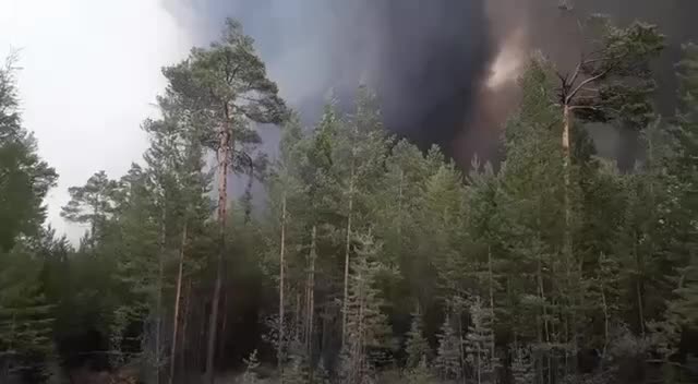 Лесные пожары в Каларском округе: помощь от пожарных из Пермского края и Карелии