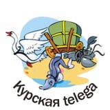 Аватар Телеграм канала: Курская Telega
