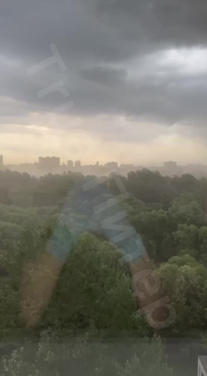 Ураган обрушился на Петербург