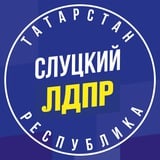 Аватар Телеграм канала: ЛДПР Татарстан