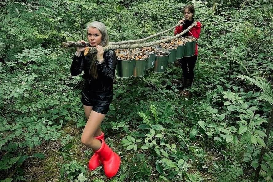 13 ведер подосиновиков собрали две девушки в лесах Тосненского и Лужского районов.