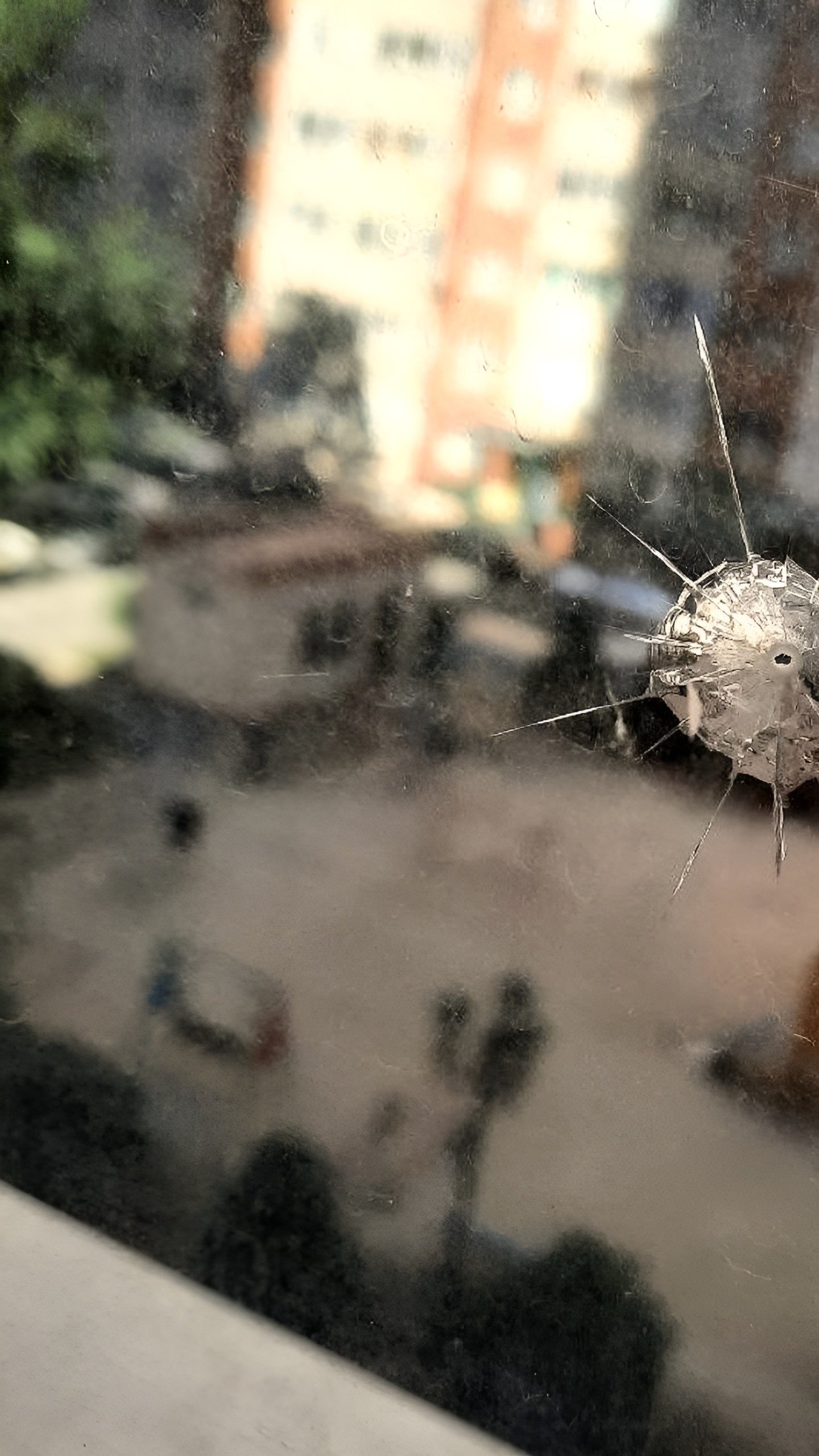 Неизвестный выстрелил в окно многоэтажки в Краснодаре