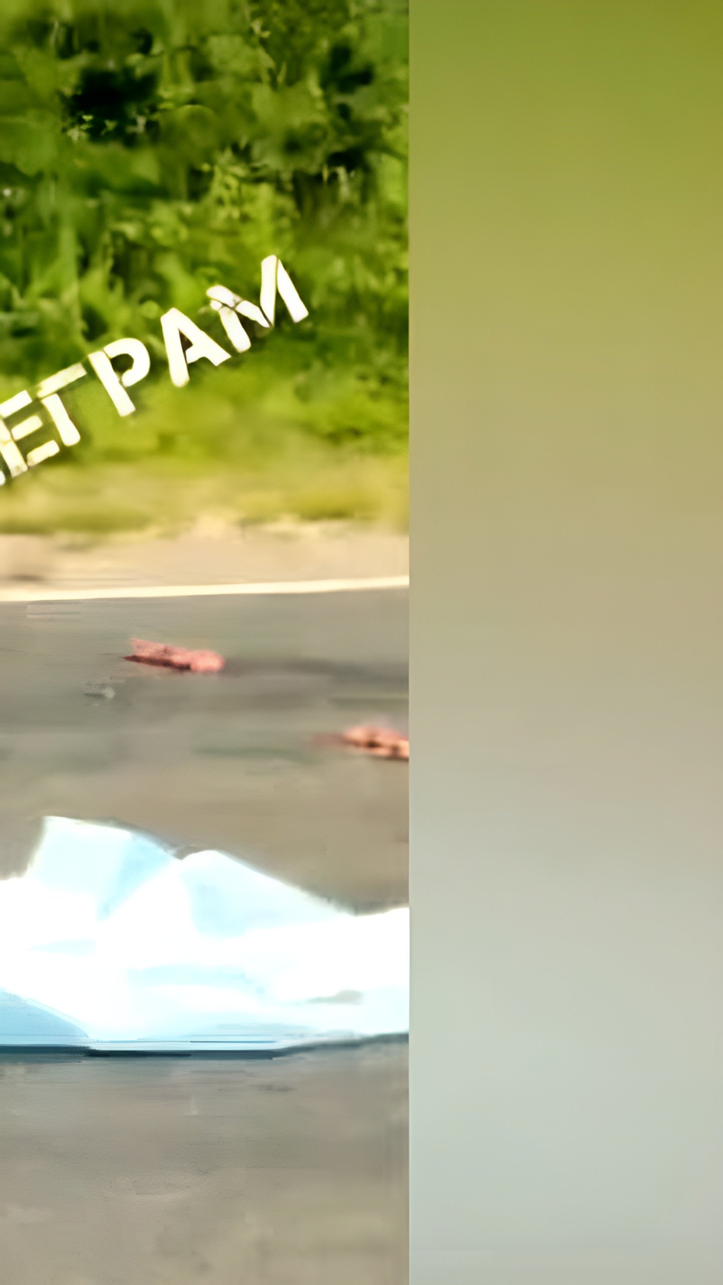В Тульской области водитель насмерть сбил пешехода и скрылся с места ДТП