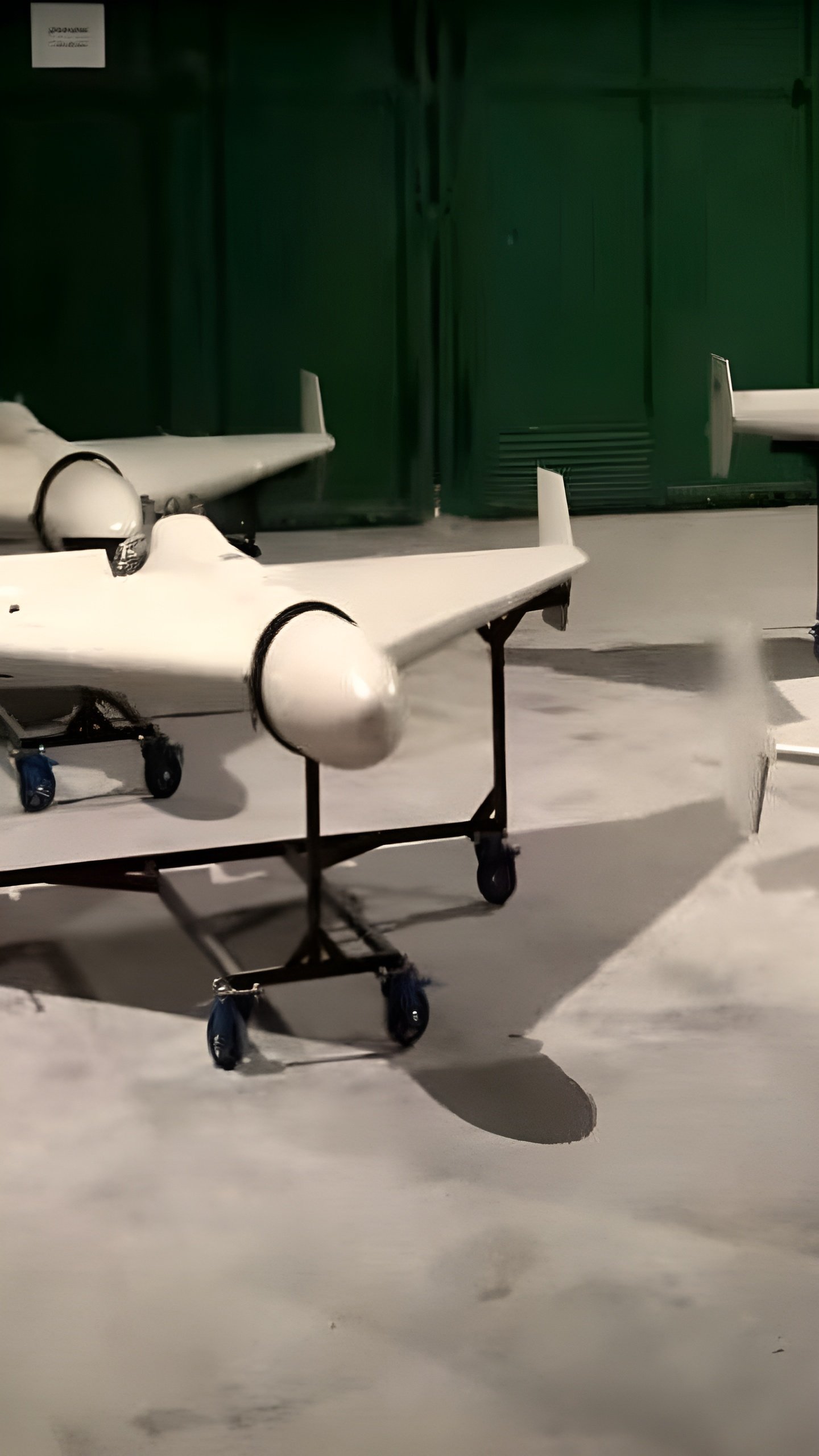 Китай и Россия разрабатывают дроны-камикадзе «Герань» для военных объектов на Украине
