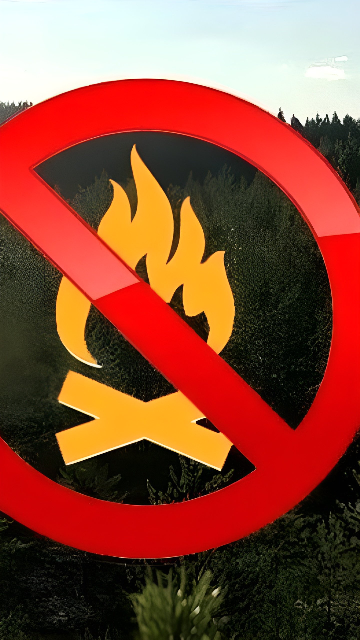 Повышение пожарной опасности в Московской области и Ульяновской области