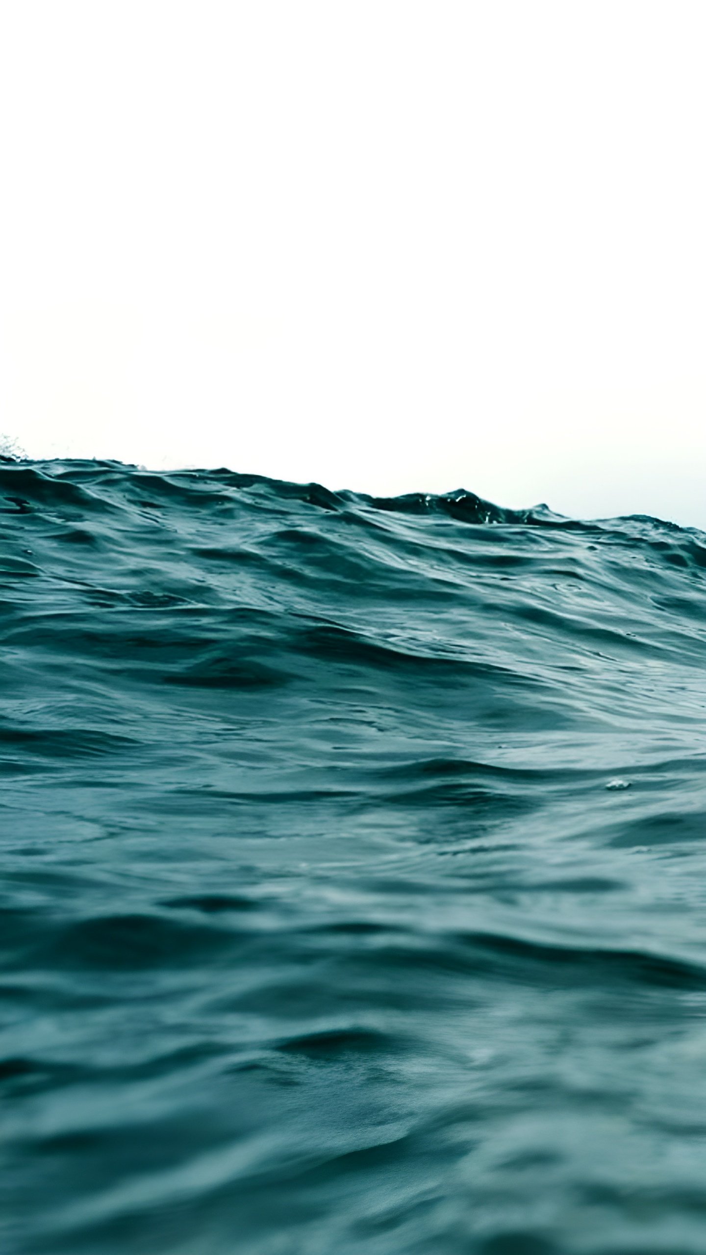 Роспотребнадзор принимает меры по сбросу сточных вод в Каспийское море