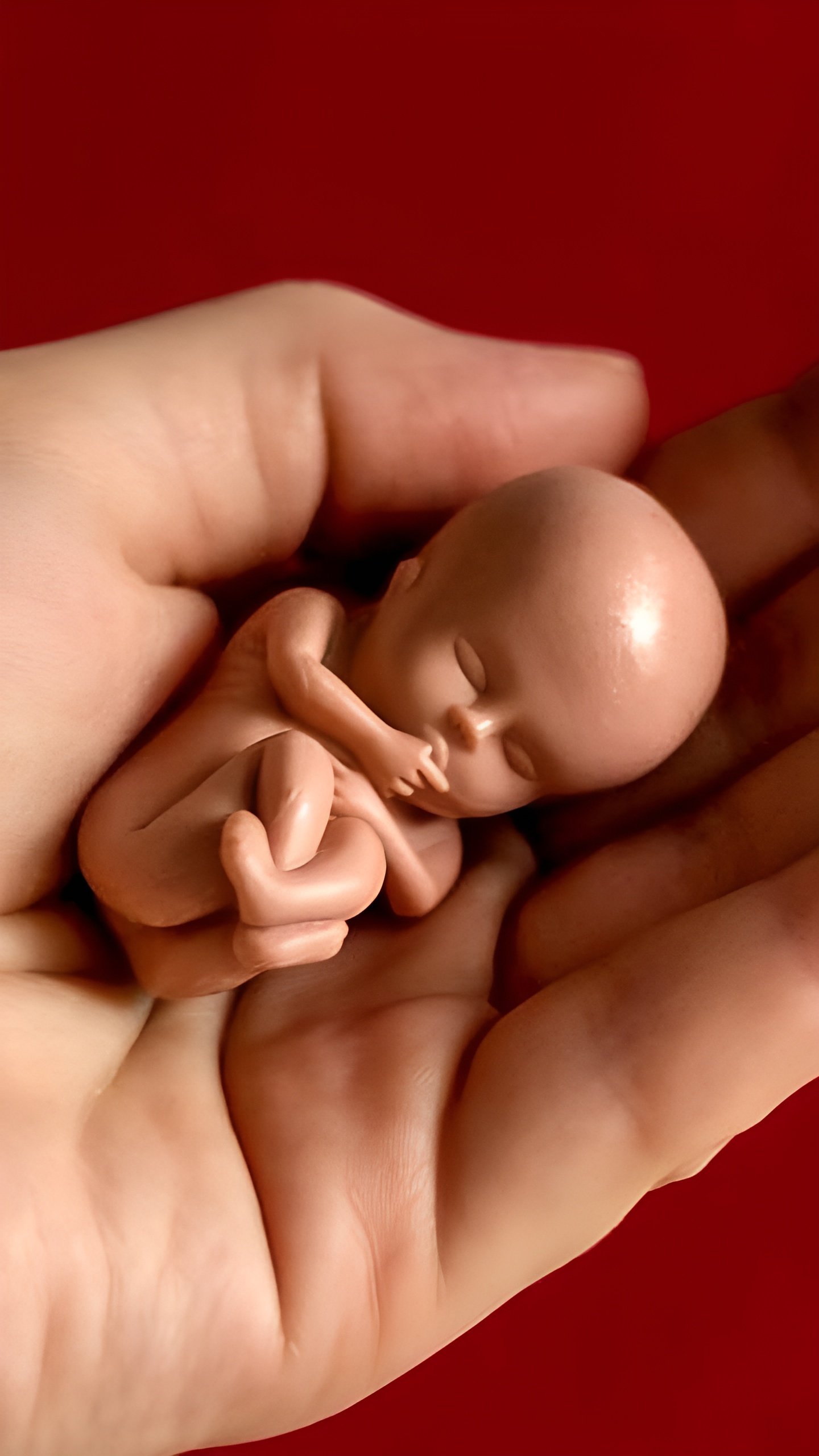 Право на охрану здоровья до рождения не запрещает аборты